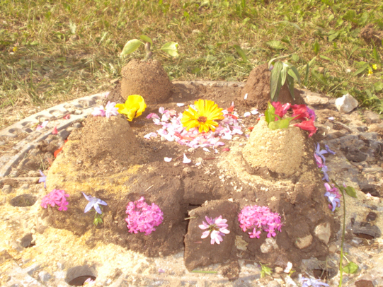 Sand-mit-Blumen_541x406 Sand-mit-Blumen_541x406